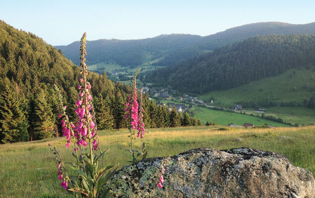 Kleine Auszeit - Photo 60