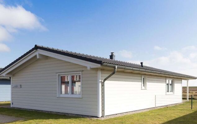 Felsenauster - Photo 1