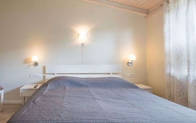 Felsenauster - Photo 4