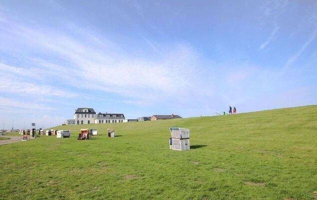 Felsenauster - Photo 16