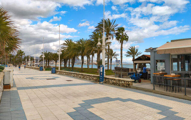 Malaga Pacifico - Photo 23