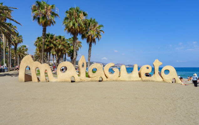 Malaga Pacifico - Photo 26