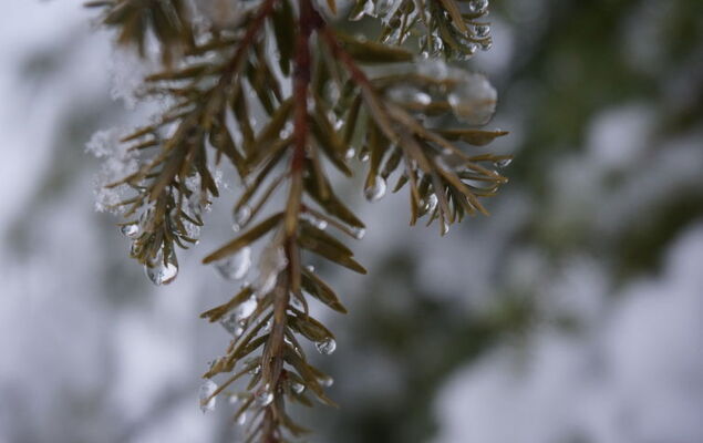 st martin chalets - Photo 58